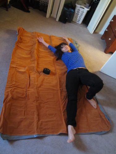 Deflated ALPS queen air mattress