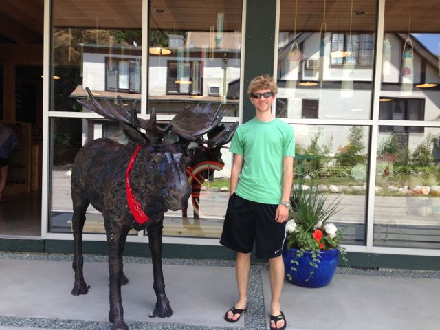 Moose statue in Bar Harbor, ME
