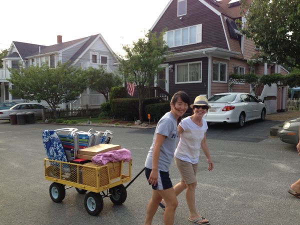pulling beach wagon