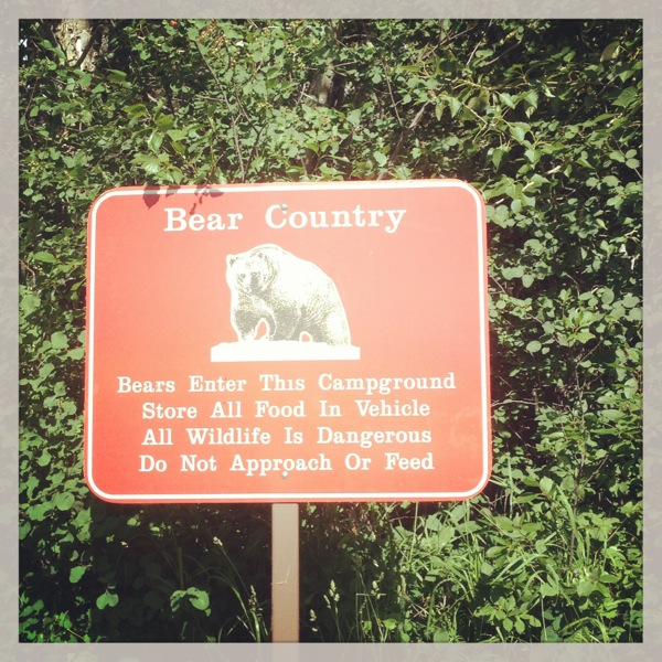 Bear Country sign