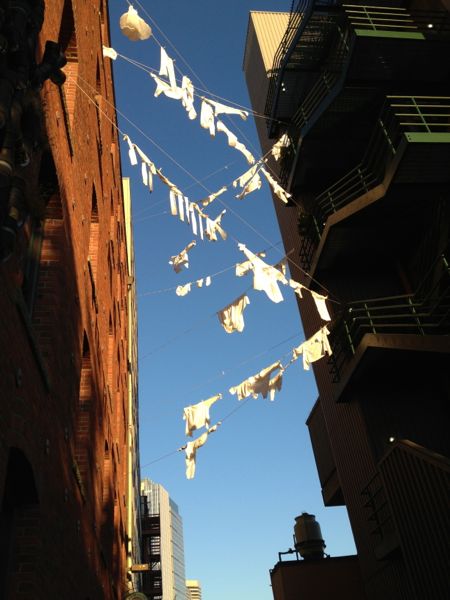 clotheslines, Seattle