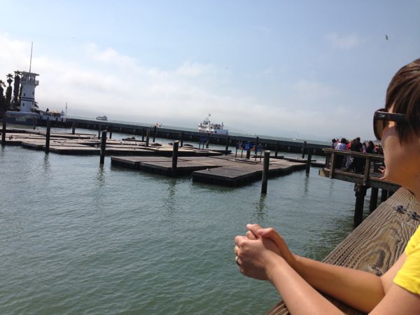 Maria with sea lions
